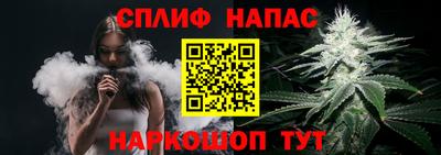 сатива Малгобек