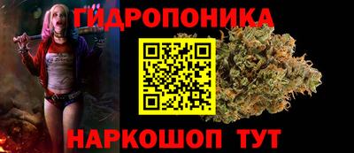 стафф Мариинск