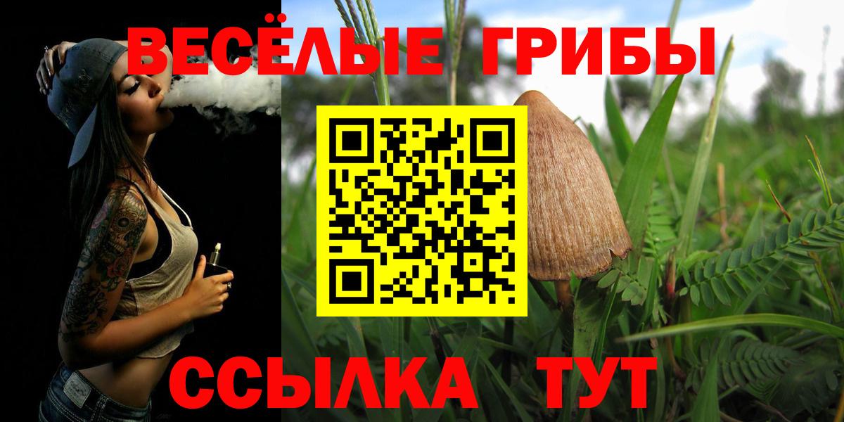 Гурьевск  Псилоцибиновые грибы GOLDEN TEACHER  Вход с VPN 