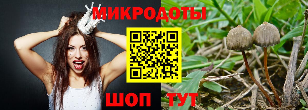 A PVP Гурьевск